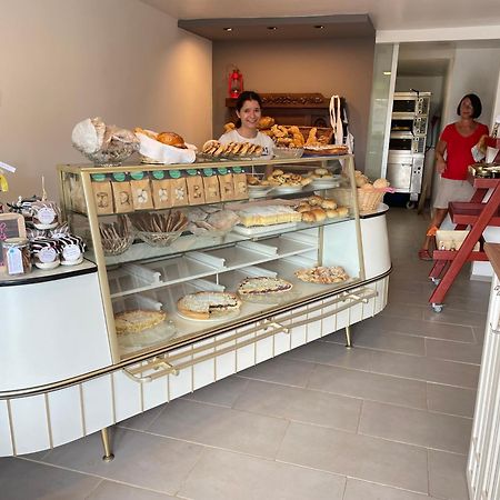 Apartament Haus Rebenblick Dierbach Zewnętrze zdjęcie