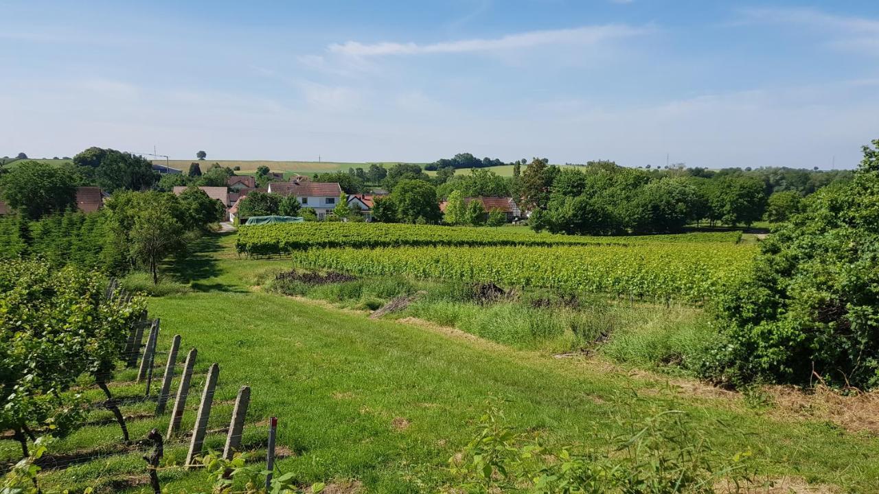 Apartament Haus Rebenblick Dierbach Zewnętrze zdjęcie