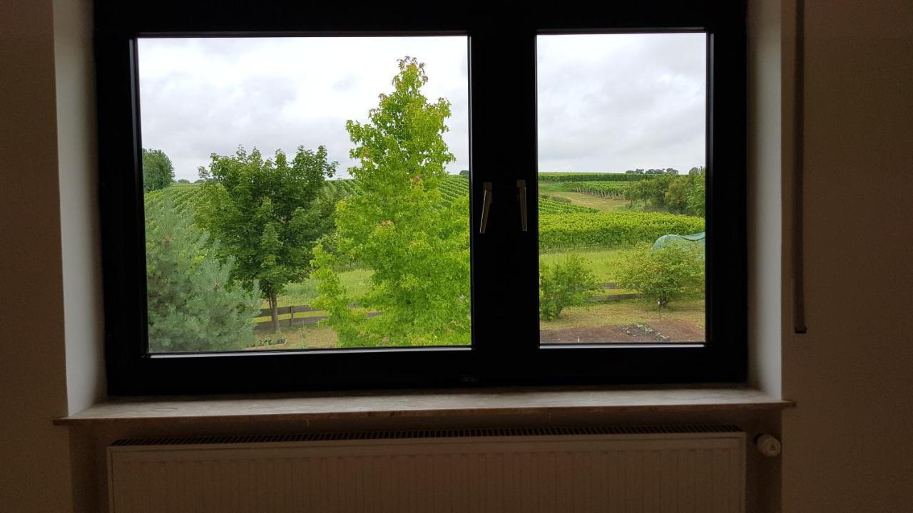 Apartament Haus Rebenblick Dierbach Zewnętrze zdjęcie
