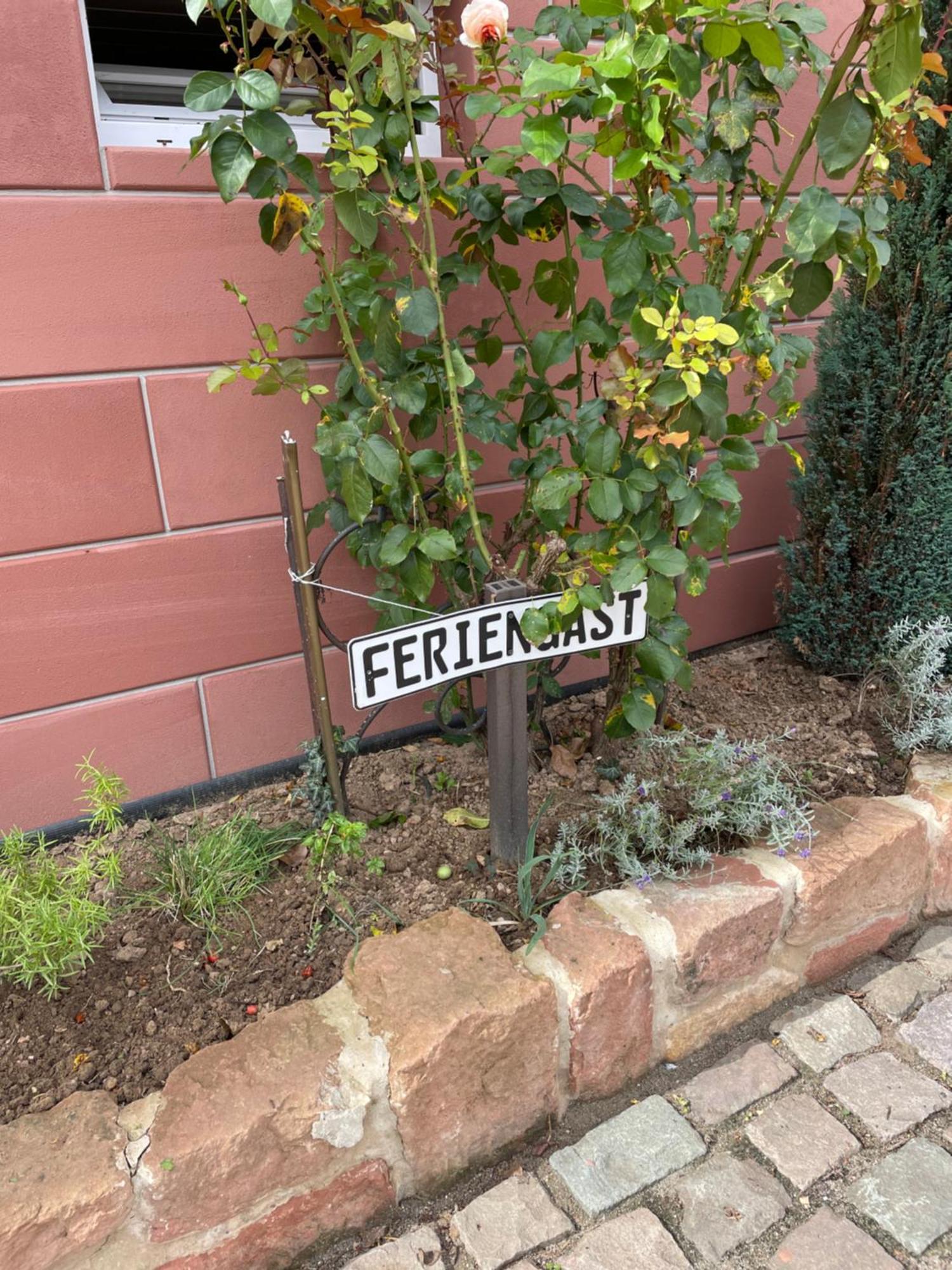 Apartament Haus Rebenblick Dierbach Zewnętrze zdjęcie